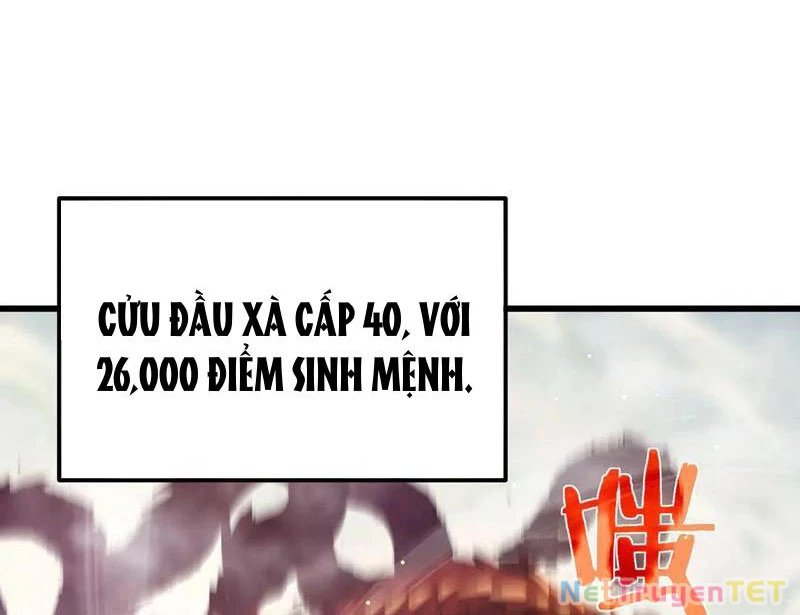 Vô Địch Bị Động Tạo Ra Tấn Sát Thương Chapter 50 - Trang 4