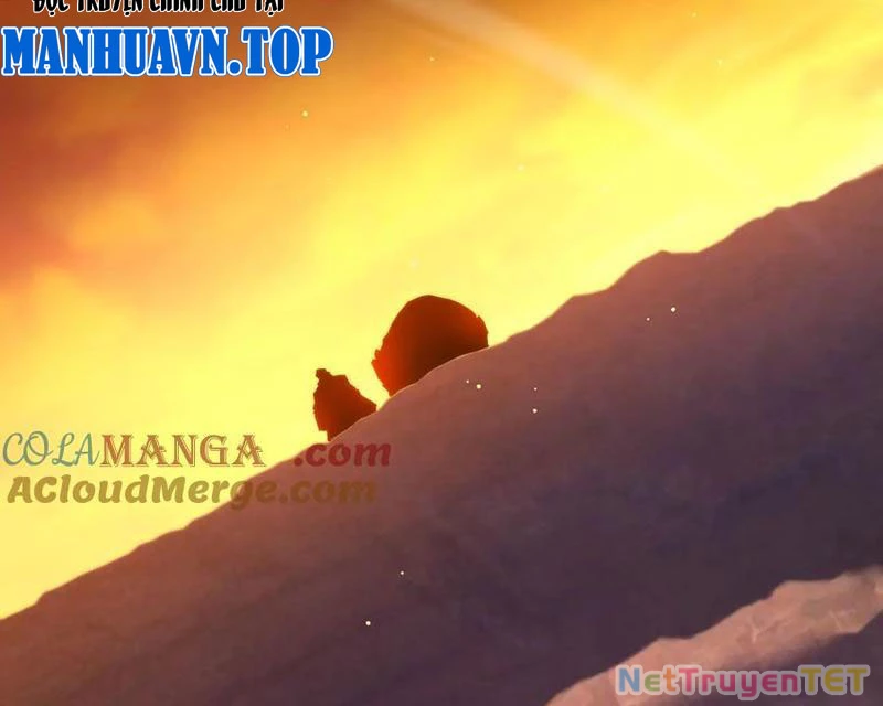 Vô Địch Bị Động Tạo Ra Tấn Sát Thương Chapter 51 - Trang 4