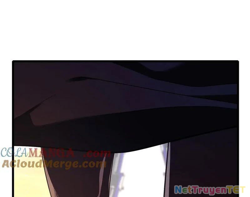 Vô Địch Bị Động Tạo Ra Tấn Sát Thương Chapter 51 - Trang 4