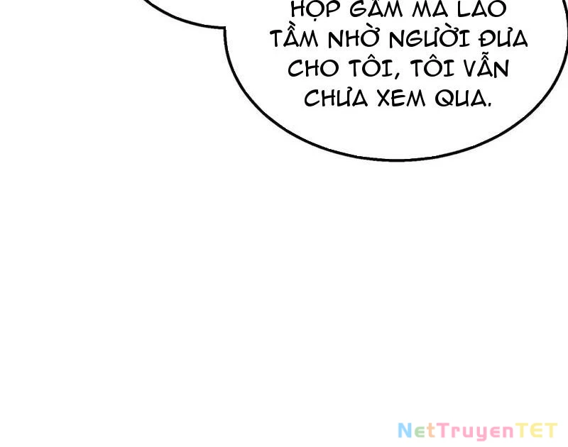 Vô Địch Bị Động Tạo Ra Tấn Sát Thương Chapter 51 - Trang 4