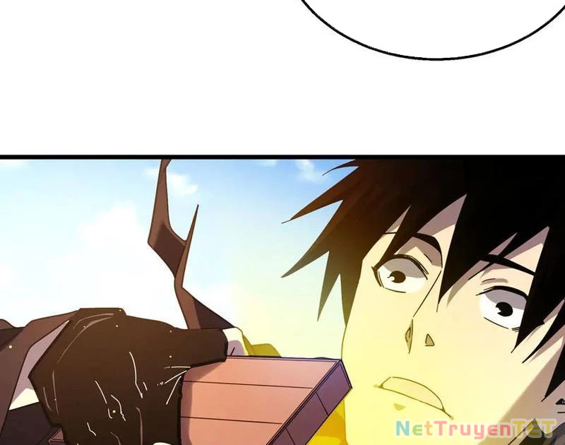 Vô Địch Bị Động Tạo Ra Tấn Sát Thương Chapter 51 - Trang 4