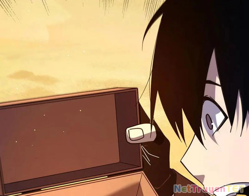 Vô Địch Bị Động Tạo Ra Tấn Sát Thương Chapter 51 - Trang 4