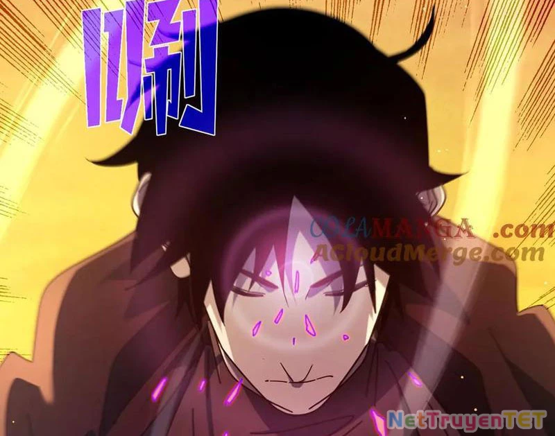 Vô Địch Bị Động Tạo Ra Tấn Sát Thương Chapter 51 - Trang 4