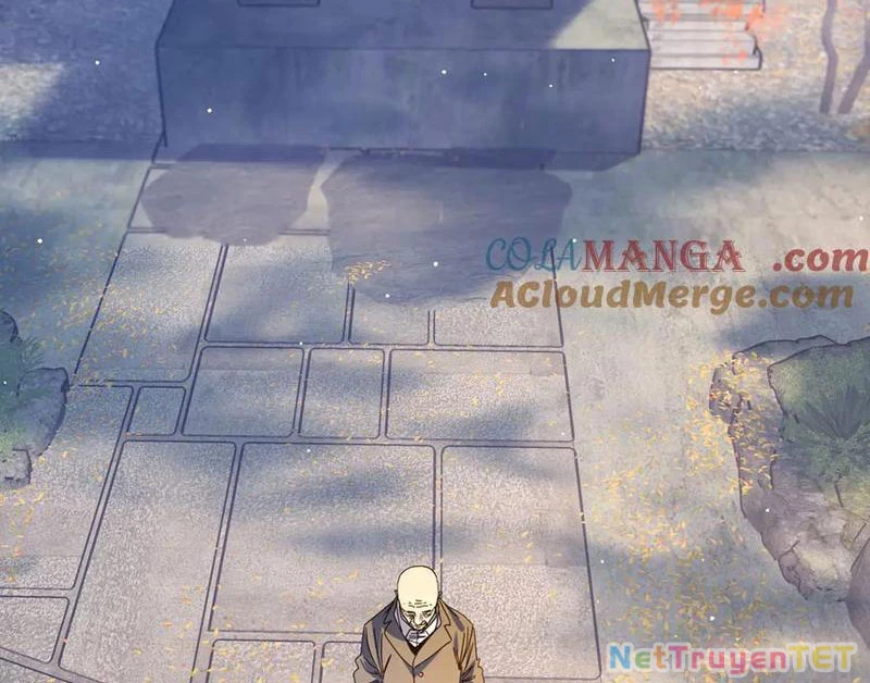 Vô Địch Bị Động Tạo Ra Tấn Sát Thương Chapter 51 - Trang 4