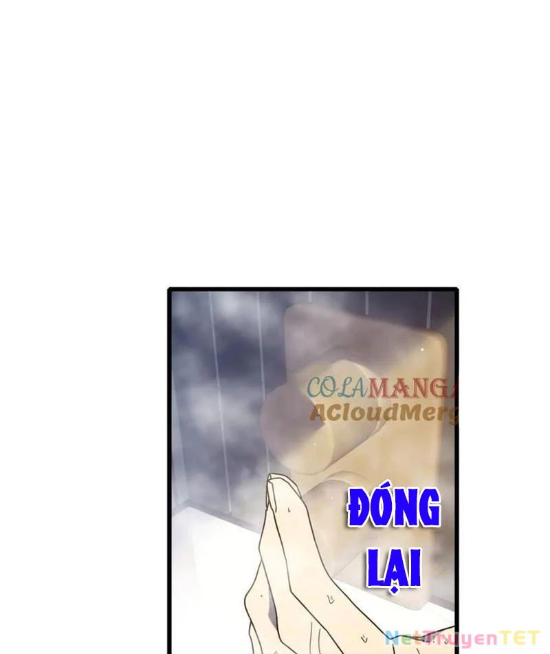 Vô Địch Bị Động Tạo Ra Tấn Sát Thương Chapter 52 - Trang 4