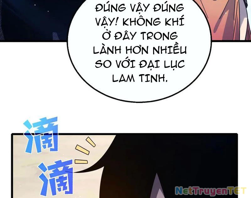 Vô Địch Bị Động Tạo Ra Tấn Sát Thương Chapter 56 - Trang 4