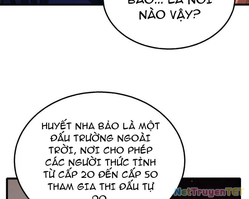 Vô Địch Bị Động Tạo Ra Tấn Sát Thương Chapter 56 - Trang 4