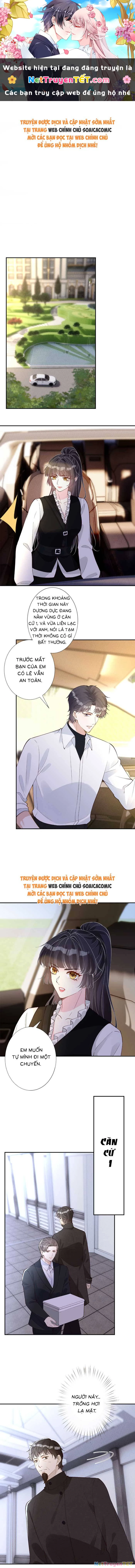 Ôm Khẩn Tiểu Mã Giáp Của Tôi Chapter 350 - Trang 4