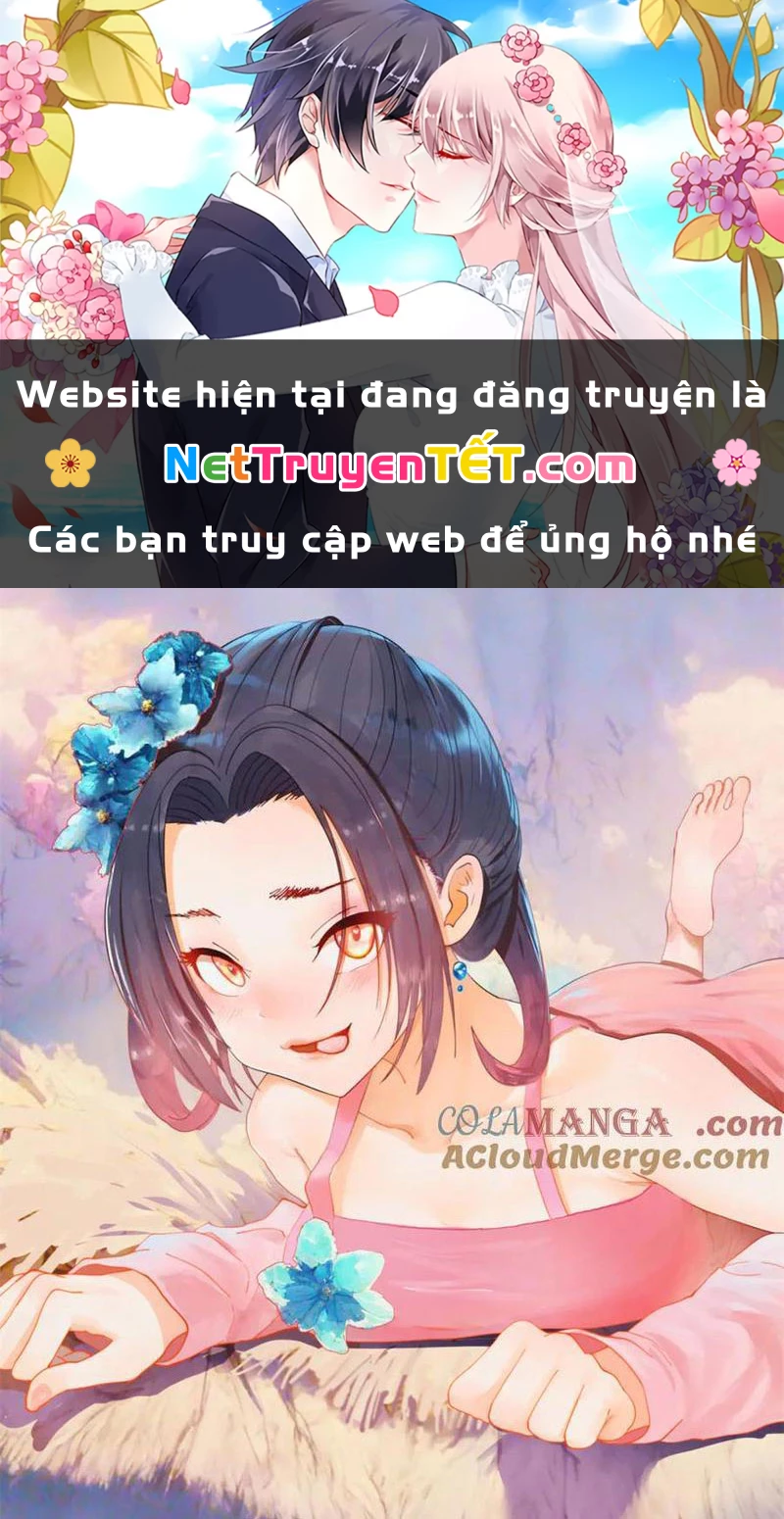 Chàng Rể Mạnh Nhất Lịch Sử Chapter 266 - Trang 4