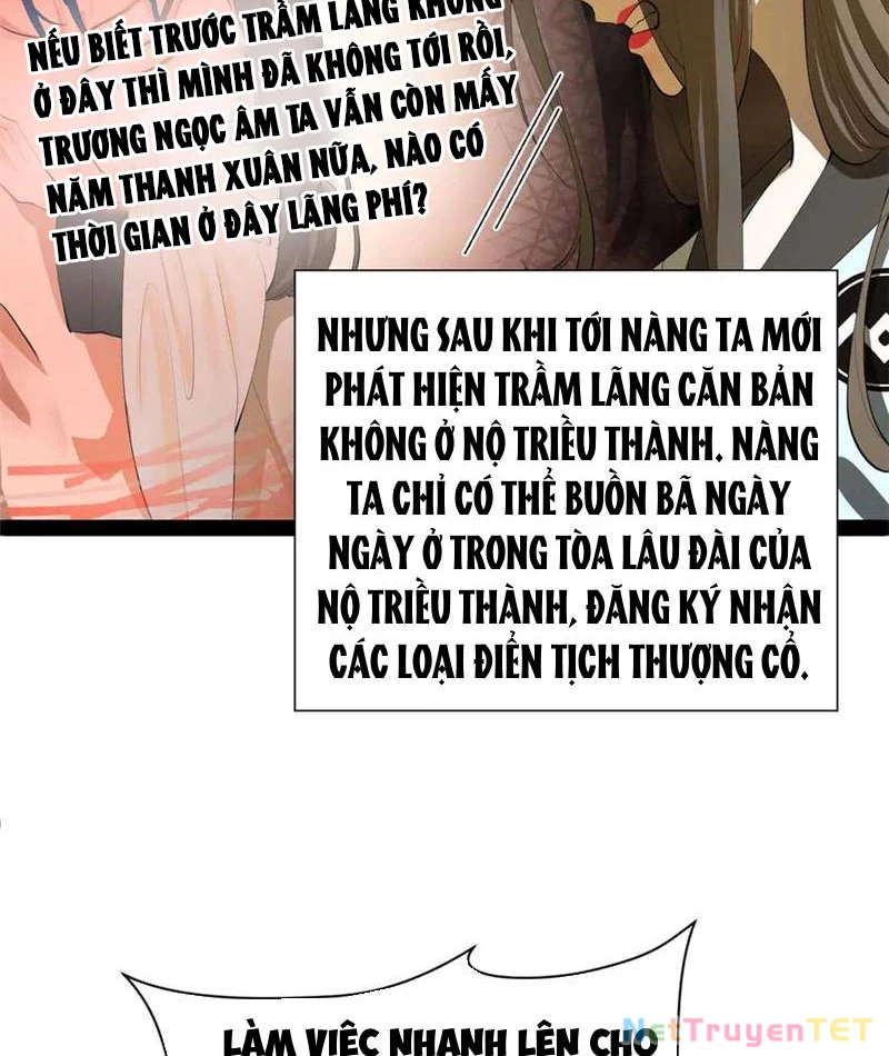 Chàng Rể Mạnh Nhất Lịch Sử Chapter 266 - Trang 4