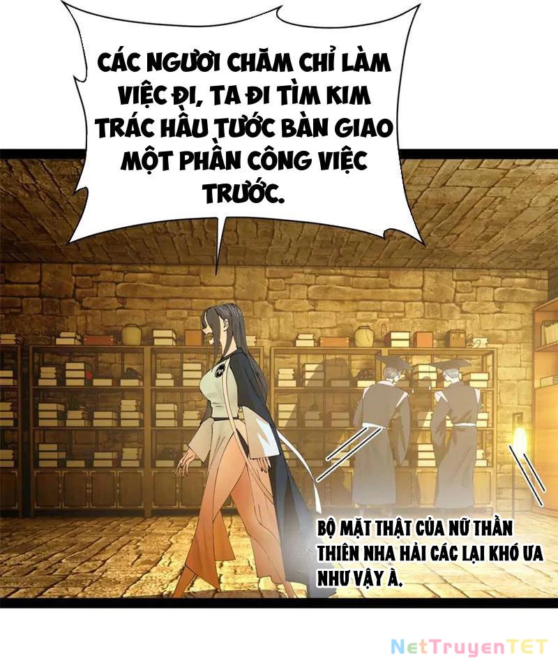 Chàng Rể Mạnh Nhất Lịch Sử Chapter 266 - Trang 4