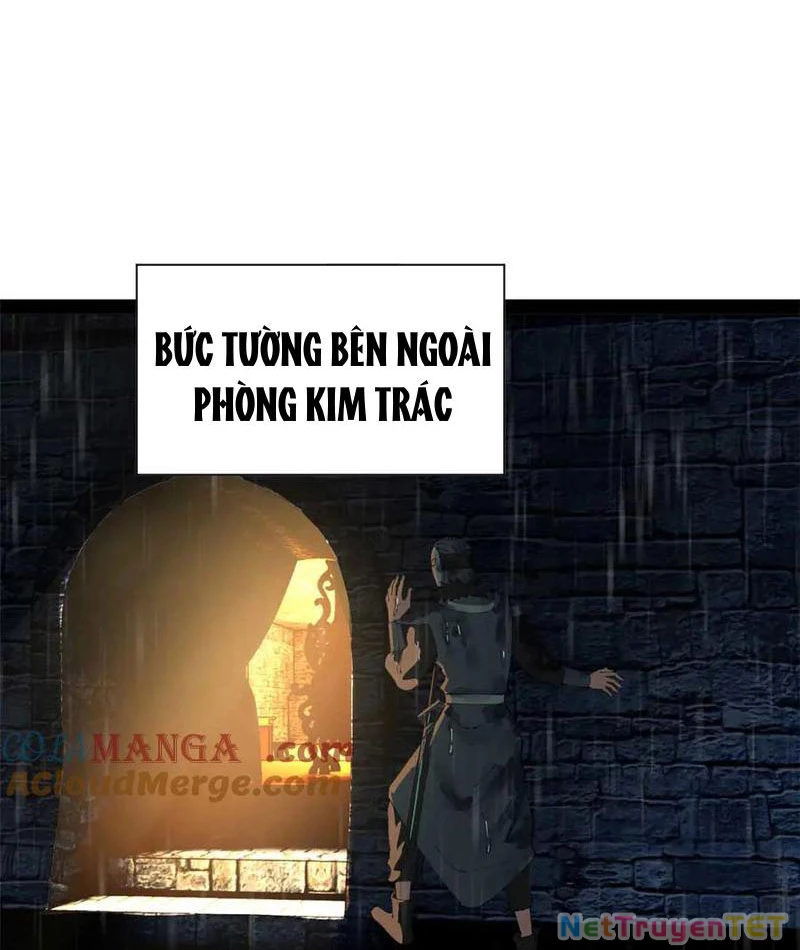 Chàng Rể Mạnh Nhất Lịch Sử Chapter 266 - Trang 4
