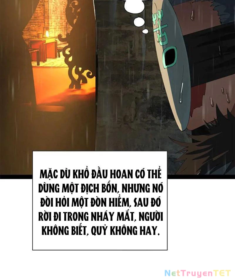 Chàng Rể Mạnh Nhất Lịch Sử Chapter 266 - Trang 4