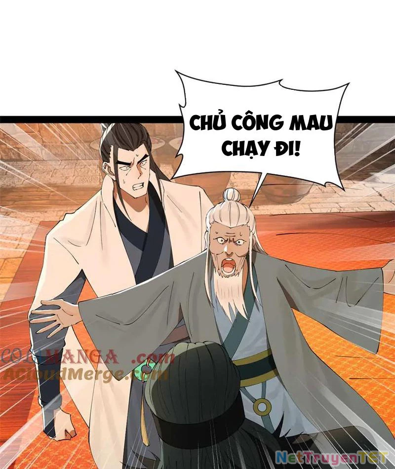 Chàng Rể Mạnh Nhất Lịch Sử Chapter 266 - Trang 4