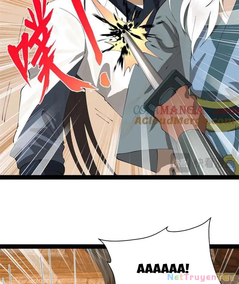 Chàng Rể Mạnh Nhất Lịch Sử Chapter 266 - Trang 4