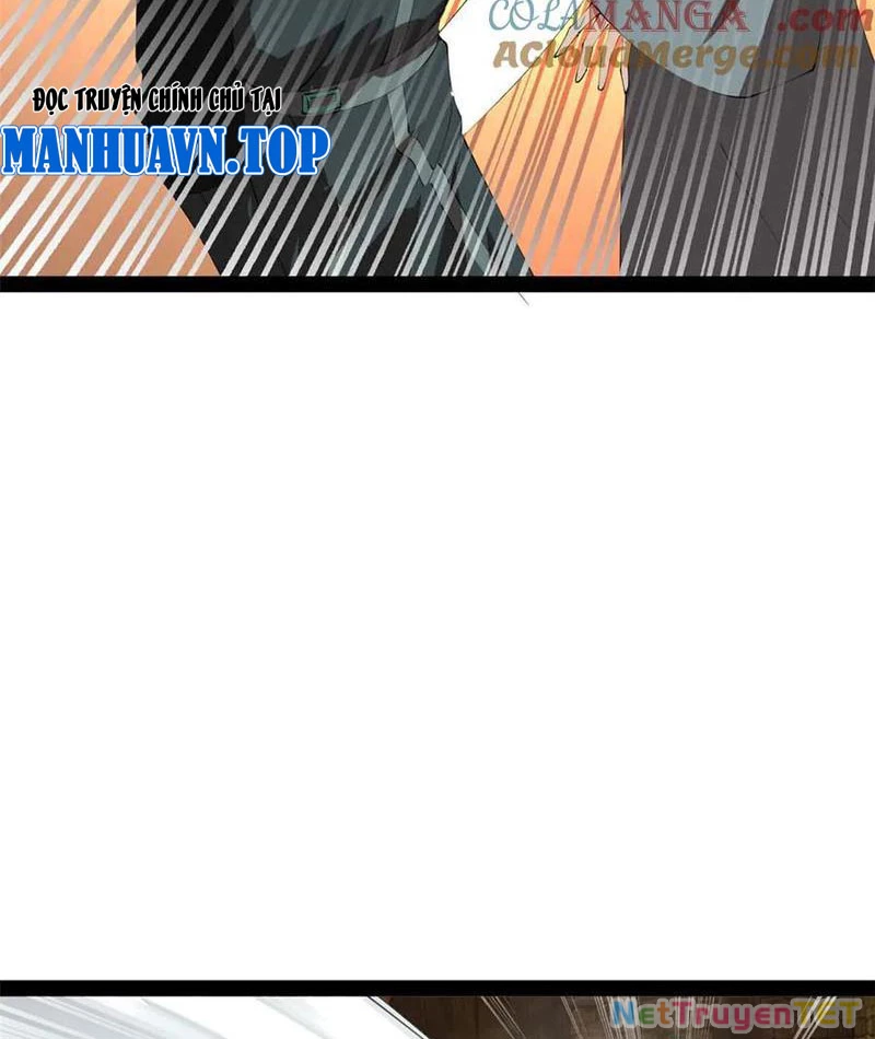 Chàng Rể Mạnh Nhất Lịch Sử Chapter 266 - Trang 4