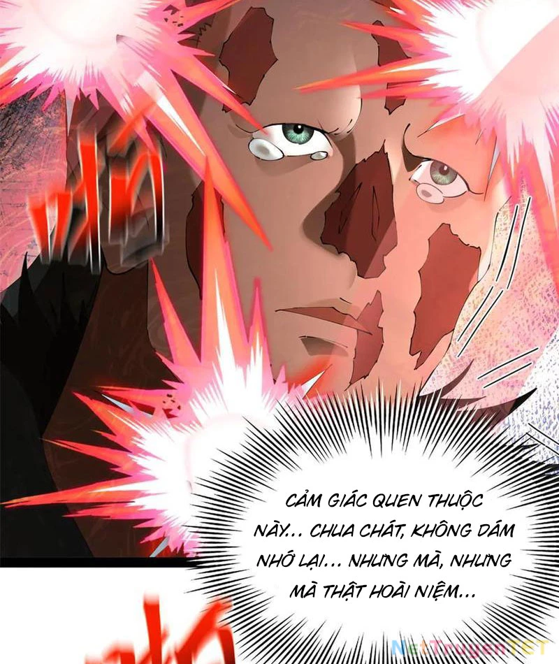 Chàng Rể Mạnh Nhất Lịch Sử Chapter 266 - Trang 4