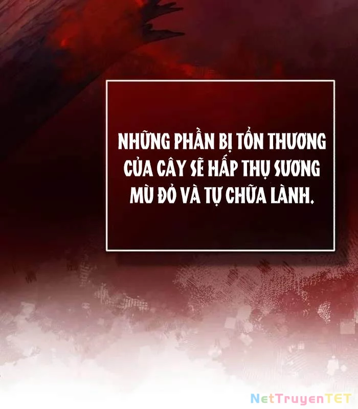 Hồi Quy Giả Về Hưu Chapter 54 - Trang 4