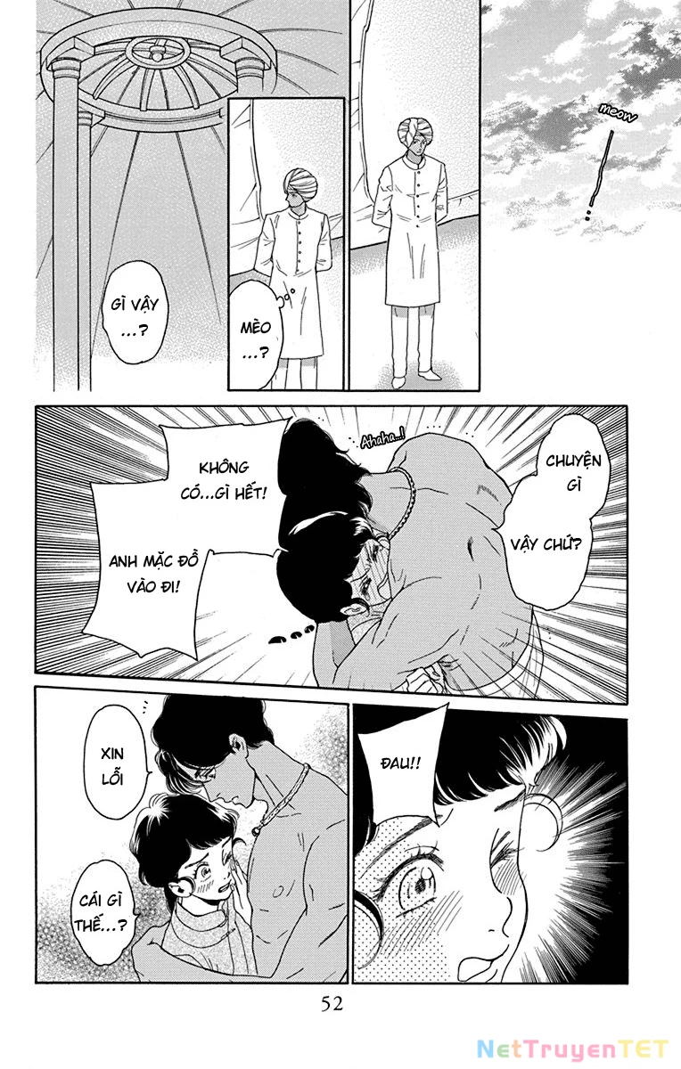 Madame Petit Chapter 41 - Trang 4