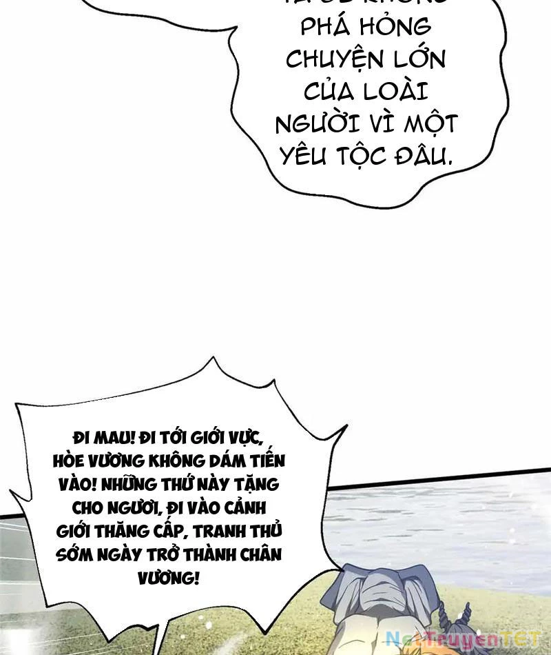 Toàn Cầu Cao Võ Chapter 296 - Trang 4