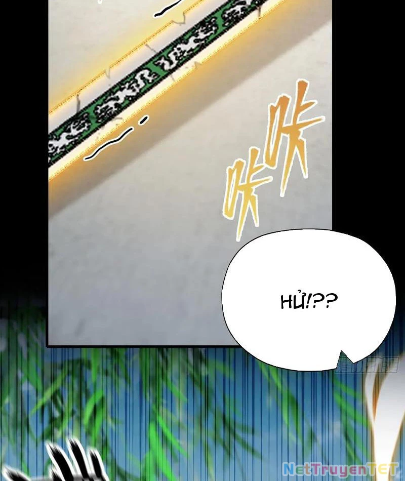 Hoá Ra Ta Đã Vô Địch Từ Lâu Chapter 237 - Trang 4