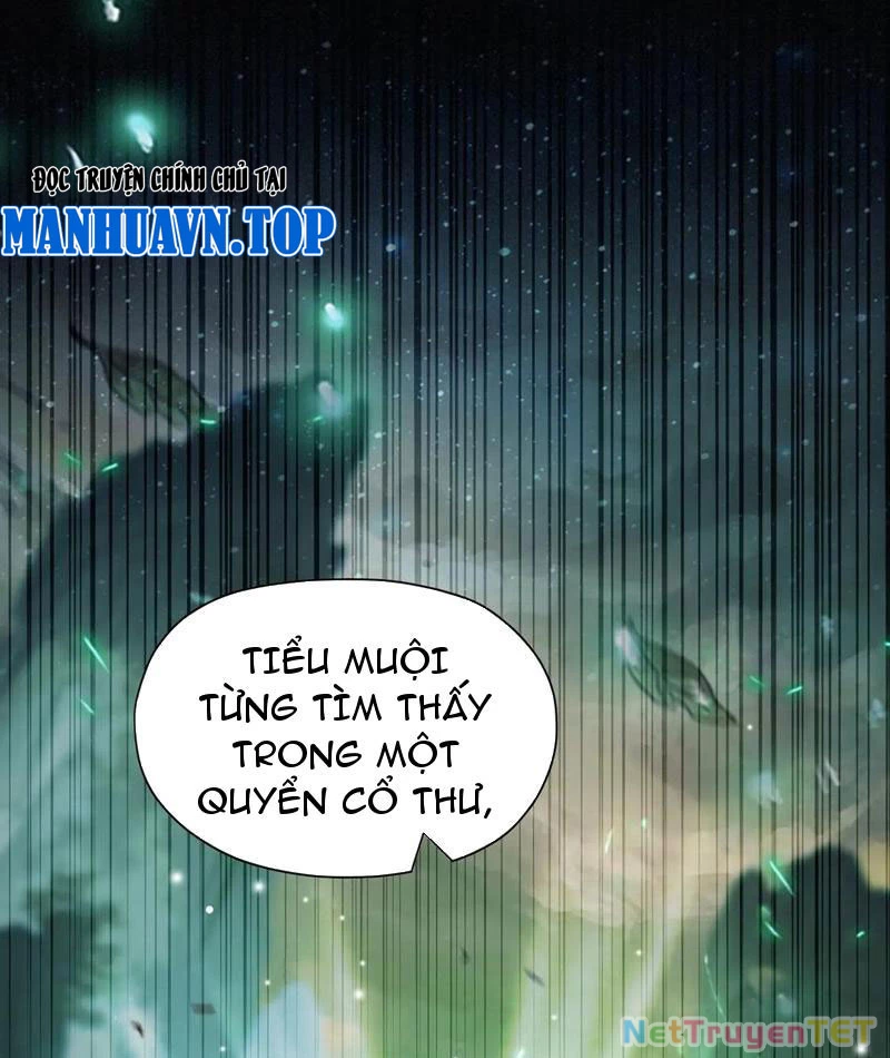 Hoá Ra Ta Đã Vô Địch Từ Lâu Chapter 238 - Trang 4