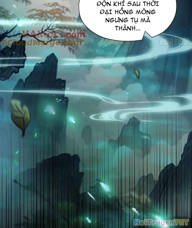 Hoá Ra Ta Đã Vô Địch Từ Lâu Chapter 238 - Trang 4