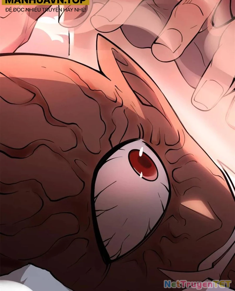 Nguyên Lai Ta Là Tu Tiên Đại Lão Chapter 529 - Trang 4