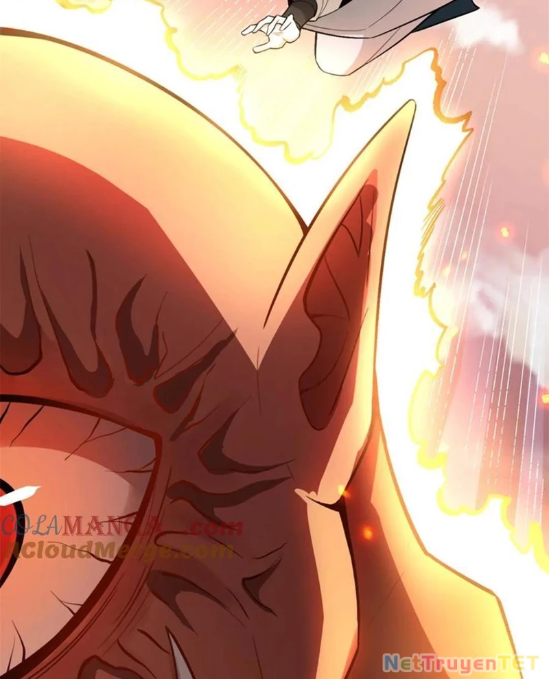 Nguyên Lai Ta Là Tu Tiên Đại Lão Chapter 529 - Trang 4