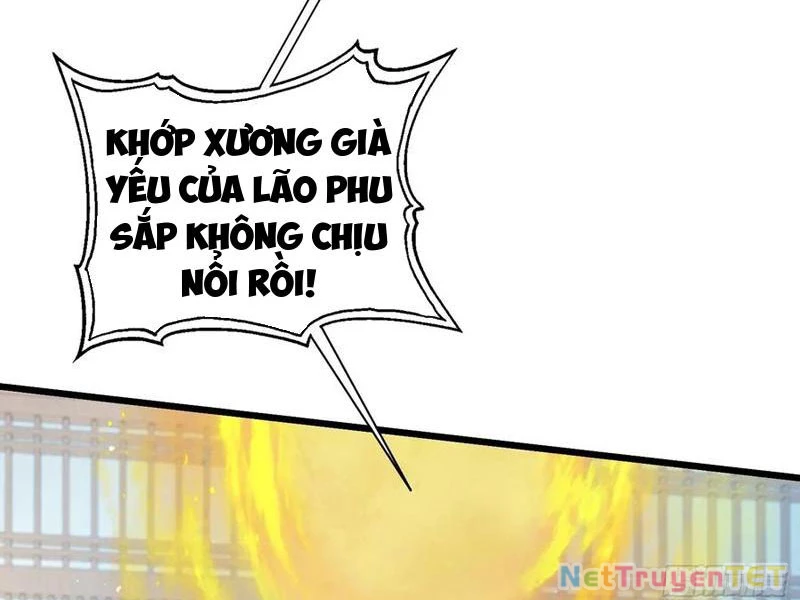 Hoá Ra Ta Đã Vô Địch Từ Lâu Chapter 240 - Trang 4