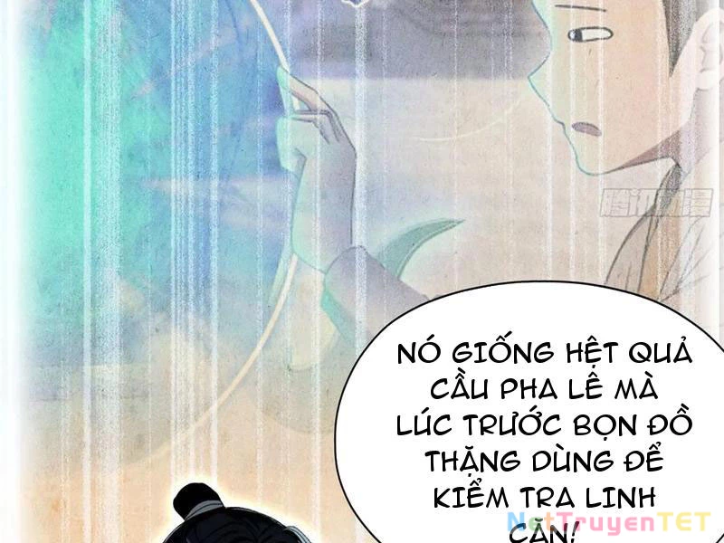 Hoá Ra Ta Đã Vô Địch Từ Lâu Chapter 240 - Trang 4