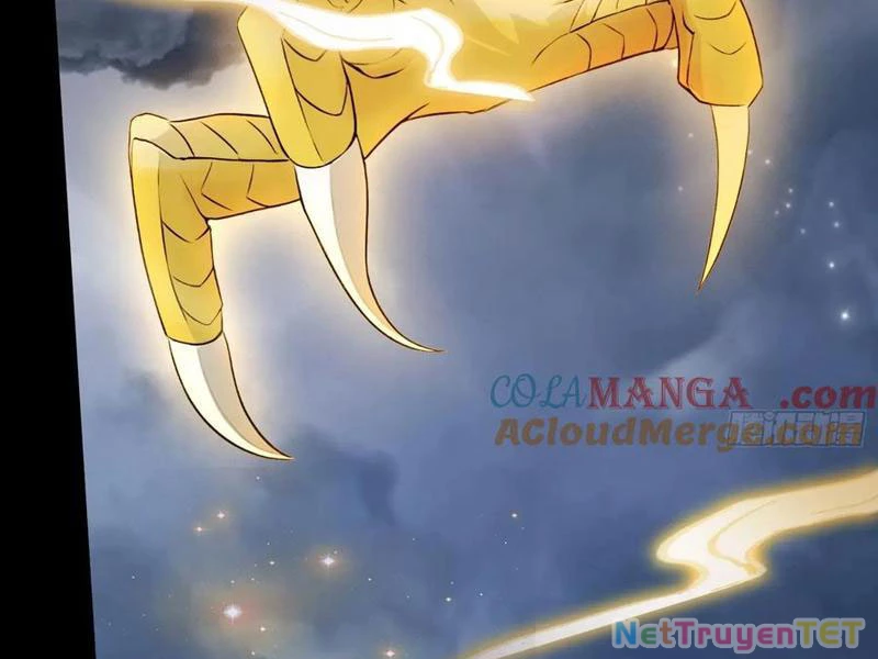 Hoá Ra Ta Đã Vô Địch Từ Lâu Chapter 240 - Trang 4