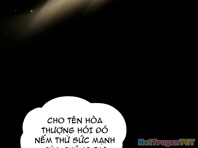 Hoá Ra Ta Đã Vô Địch Từ Lâu Chapter 240 - Trang 4