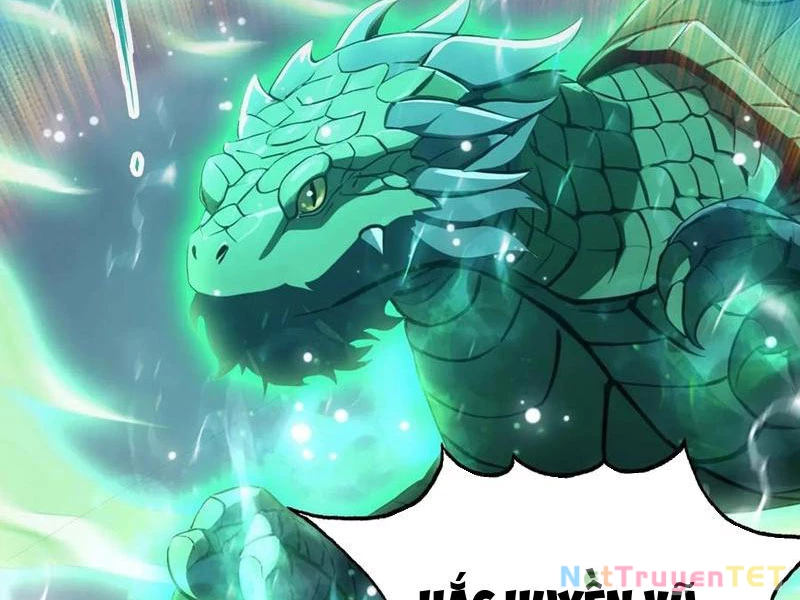 Hoá Ra Ta Đã Vô Địch Từ Lâu Chapter 241 - Trang 4
