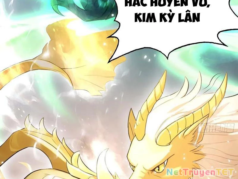 Hoá Ra Ta Đã Vô Địch Từ Lâu Chapter 241 - Trang 4