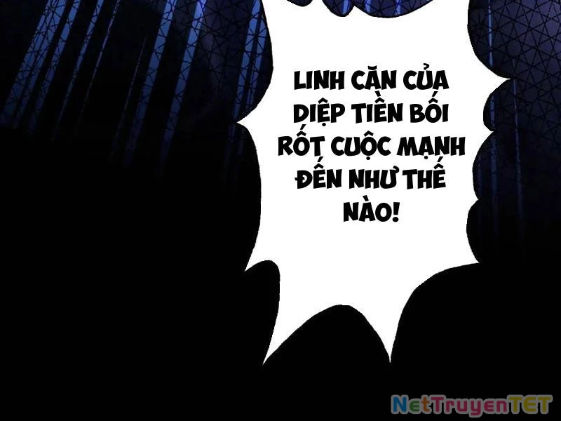 Hoá Ra Ta Đã Vô Địch Từ Lâu Chapter 241 - Trang 4
