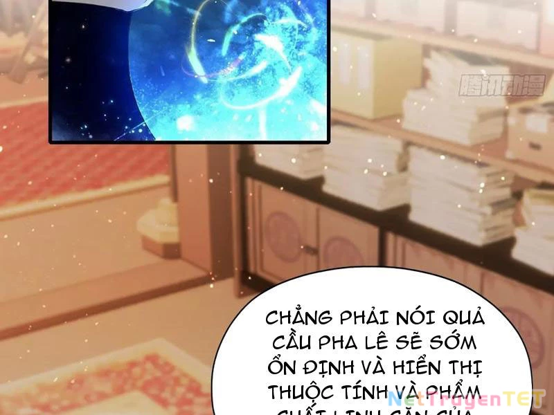 Hoá Ra Ta Đã Vô Địch Từ Lâu Chapter 241 - Trang 4