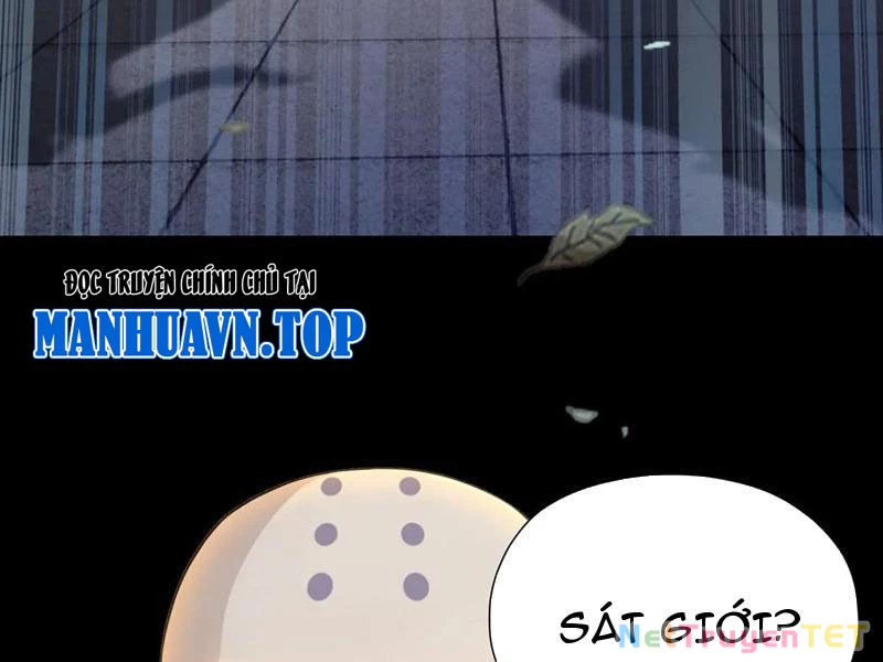 Hoá Ra Ta Đã Vô Địch Từ Lâu Chapter 241 - Trang 4