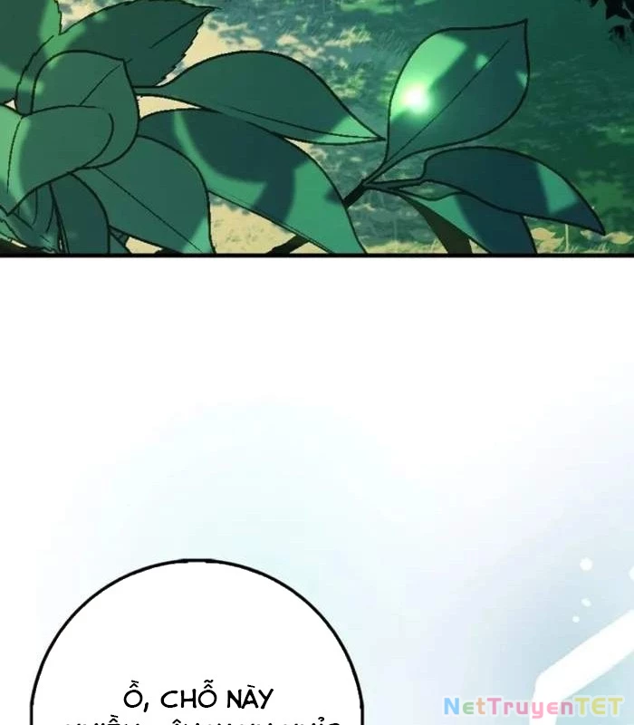 Thiên Tài Võ Thuật Hồi Quy Chapter 83 - Trang 4