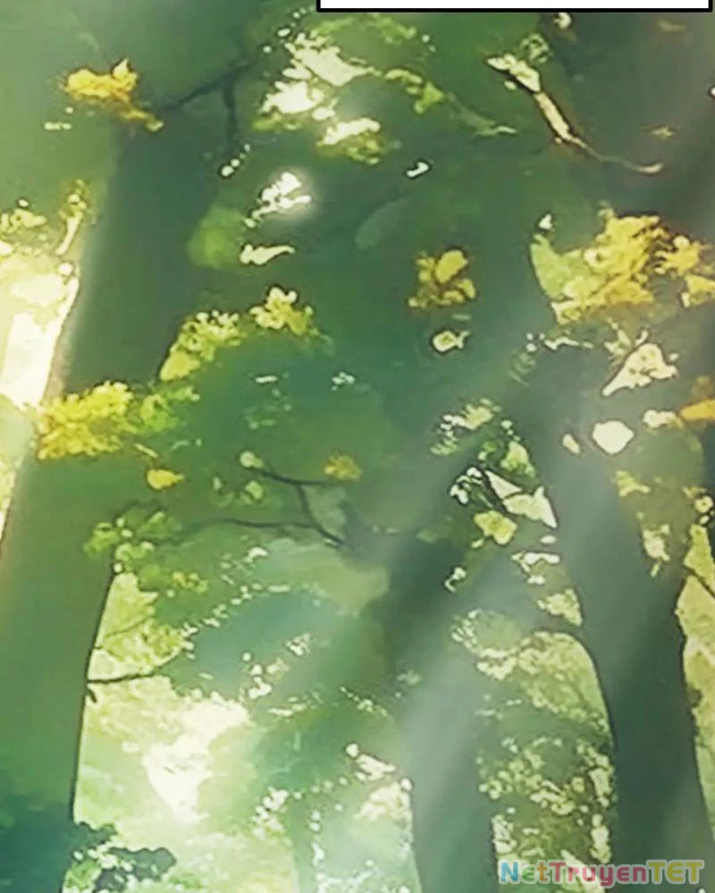 Gặp Mạnh Thì Mạnh, Ta Tu Vi Vô Thượng Hạn Chapter 16 - Trang 3
