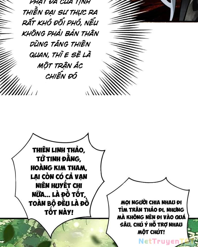 Gặp Mạnh Thì Mạnh, Ta Tu Vi Vô Thượng Hạn Chapter 16 - Trang 3