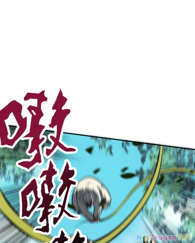 Gặp Mạnh Thì Mạnh, Ta Tu Vi Vô Thượng Hạn Chapter 16 - Trang 3