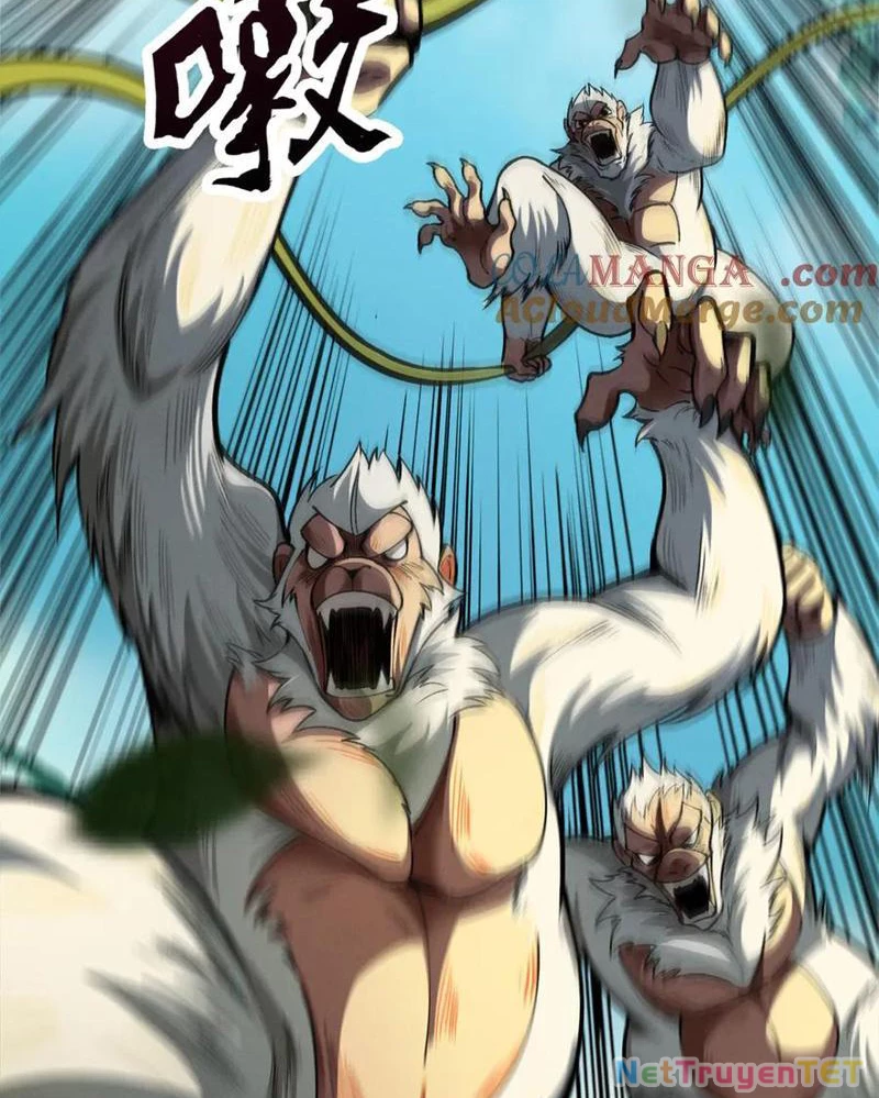 Gặp Mạnh Thì Mạnh, Ta Tu Vi Vô Thượng Hạn Chapter 16 - Trang 3
