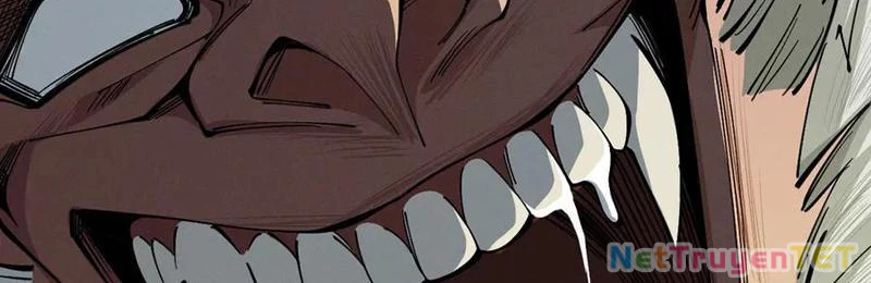 Gặp Mạnh Thì Mạnh, Ta Tu Vi Vô Thượng Hạn Chapter 16 - Trang 3