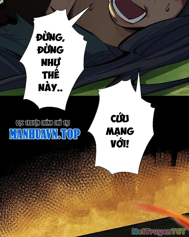 Gặp Mạnh Thì Mạnh, Ta Tu Vi Vô Thượng Hạn Chapter 16 - Trang 3
