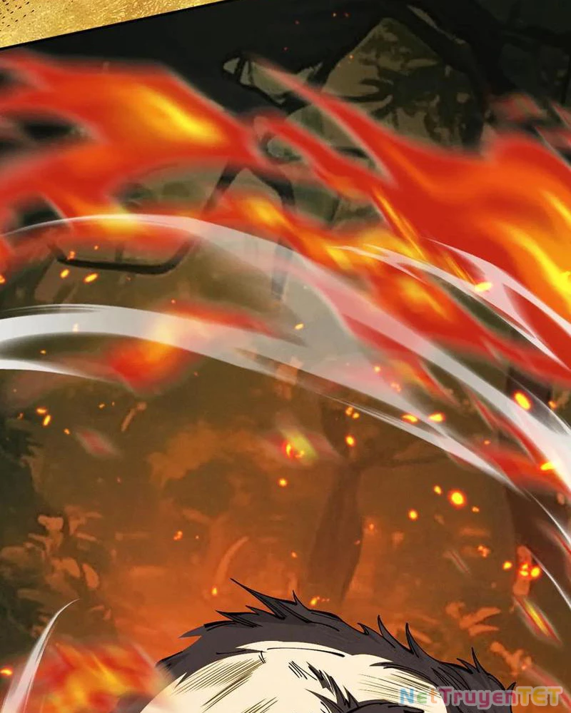Gặp Mạnh Thì Mạnh, Ta Tu Vi Vô Thượng Hạn Chapter 16 - Trang 3