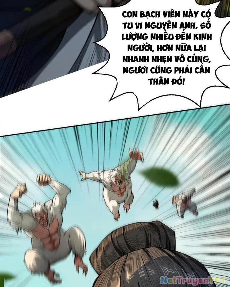 Gặp Mạnh Thì Mạnh, Ta Tu Vi Vô Thượng Hạn Chapter 16 - Trang 3
