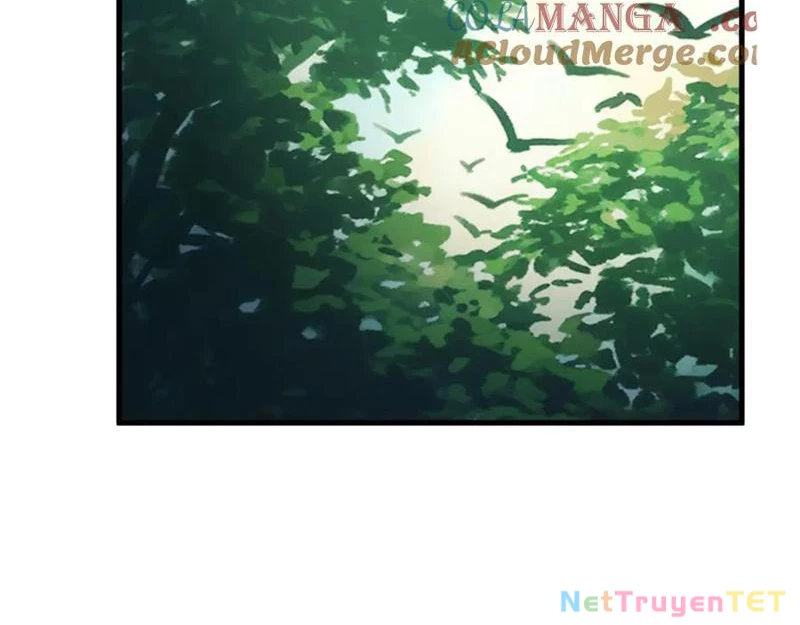 Gặp Mạnh Thì Mạnh, Ta Tu Vi Vô Thượng Hạn Chapter 16 - Trang 3