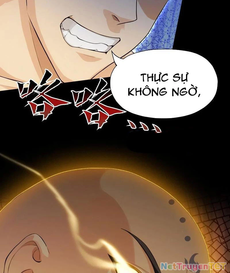 Hoá Ra Ta Đã Vô Địch Từ Lâu Chapter 244 - Trang 4