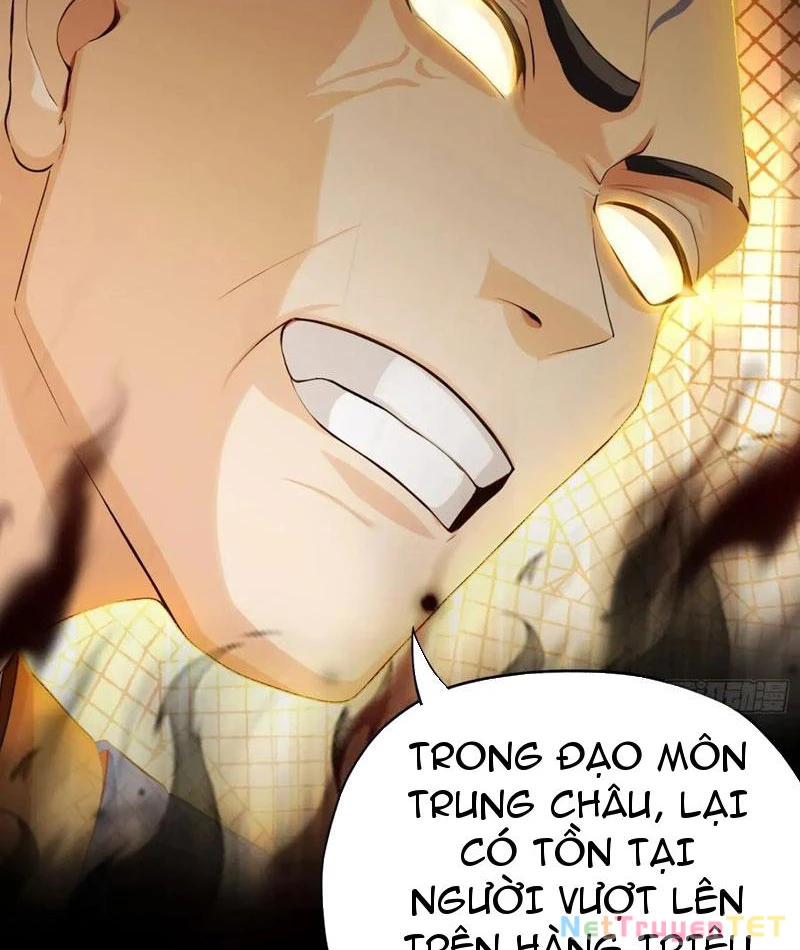 Hoá Ra Ta Đã Vô Địch Từ Lâu Chapter 244 - Trang 4